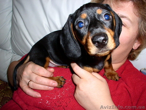 Киев 095 395 15 94 #125999