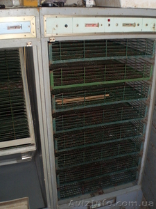 Инкубатор на 5000 яиц #134277