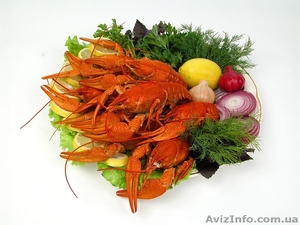продажа живых раков #120296