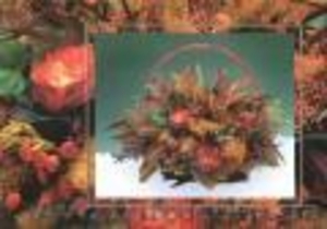 Курс «Основы веб-дизайна» #112479