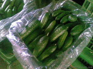 свежие помидоры,  огурцы  #150701