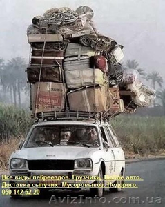 Грузчики. Не студенты. Недорого #138065