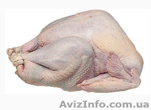 Индюшатина и Индюк #139815