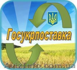 Продам подшипники,  РТИ, запчасти #153386