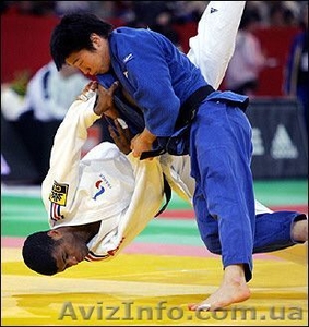 Набір до секції дзюдо #142535