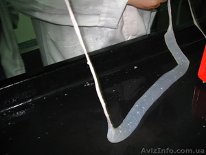 НАТУРАЛЬНАЯ ОБОЛОЧКА ОТ ПРОИЗВОДИТЕЛЯ.ЧЕРЕВА СВИННАЯ,  БАРАНЬЯ, ....... #146596