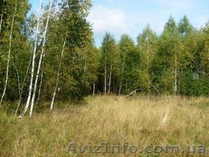 Участок,  земля,  дача,  дом #146378