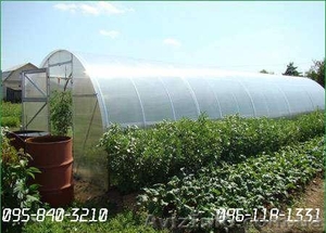 Харьков  поликарбонат теплицы   Novattro и   Actual #150950