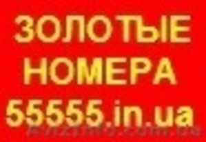 Золотые номера,  Красивые номера. Большой выбор. Низкие цены  #139862
