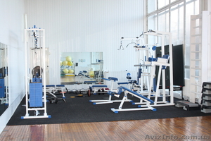 Сауна Бассейн Дельфин #145187