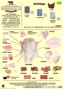 	КУРИННАЯ ПРОДУКЦИЯ #146608