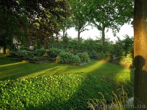 Ландшафтный дизайн Озеленение Благоустройство участков #150451