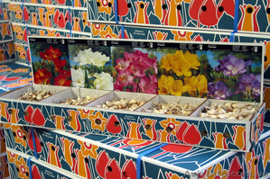 Оптовые поставки фасованных луковиц. #146423