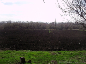 Участок в Краснограде #150915