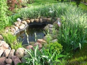 Пруды.Строительство искуственных водоемов #151625