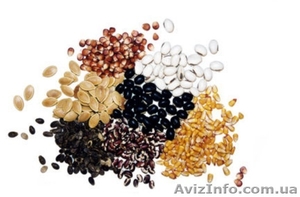 Продам весовые семена! #149320