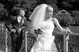 Фотограф на свадьбу,  портреты #43395