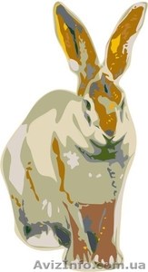 Дизайнер. Графический дизайнер. Иллюстратор. #137024