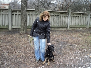 Отдам в хорошии руки ! #154689