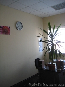 Помещение под информационно-компьютерный центр,  офис,  представительство,  ул.Шевч #171917