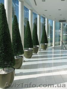 Приведение документов АО в соответствие с законом #163894