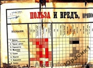 польза и вред приносимые нашими птицами 1898 года #176969