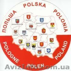 Робота в Польщі #176519