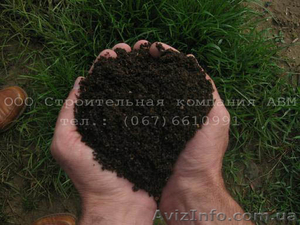Чернозем – продажа #159832