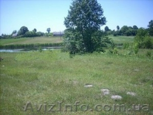 Земля,  недвижимость,  участок,  дача,  дом #164903