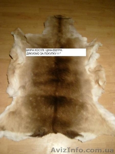 ПРОДАЖ ШКІРИ КОСУЛІ #177651
