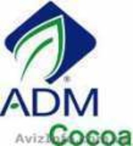 какао-порошок натуральный ,  алкализированный (ADM) #171568