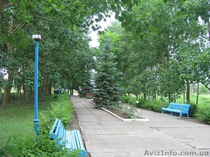 путевки в ДОЛ Ивушка Арабатская стрелка #171479