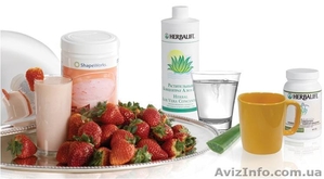 Независимый дистрибьютор Гербалайф  #166929