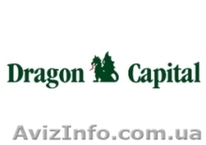Dragon Capital - семинар в Донецке  #157772