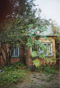 Продается дача (куплю дачу)  #179677