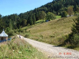 Перспективный участок в Карпатах! #163895