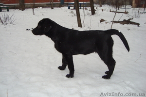 gad1na2010@yandex.ua #168459