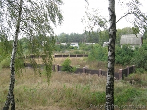 Участок 0, 24га на берегу р.Стрижень(Яловщина),  Чернигов #159665