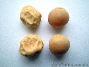 ООО Агро Легион #173452