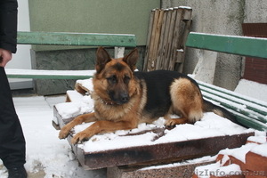 Анатолий Иванович  #168436