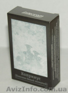 Гриб Копринус (от алкоголизма) #157343