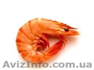 Креветкки мороженные,  креветки охлажденные  FRESH FISH доставка #176971