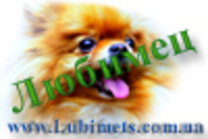 Интернет зоомагазин 