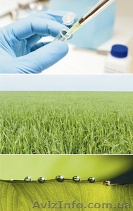       Микроудобрения     #170207