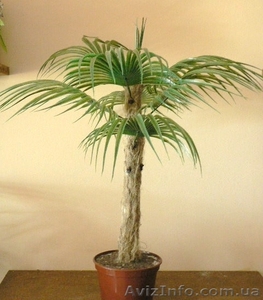 Искусственные цветы. Пальма малая арт. Д0001 #175405