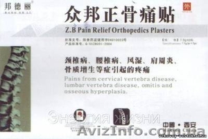 Пластырь Ортопедический компании Вековой Восток #167307