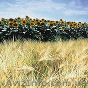 Регуляторы роста #170200