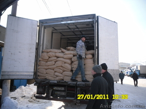 Грузчики в любое время, авто-переезды быстрее молнии #183161