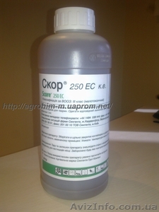 Реализуем высокоэфективный фунгицид--- Скор ® 250 ЕС к.е.  #161402