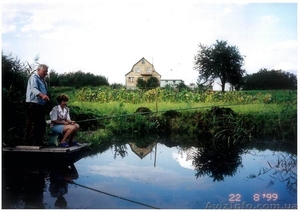 Ставки-Скригалевка,  Фастовский р-н,  Киевская обл. #178236